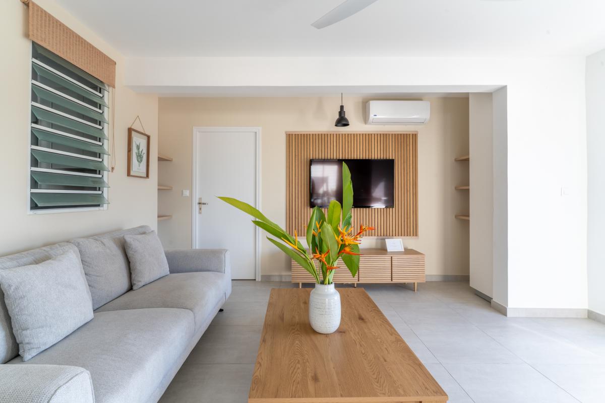 sejour-salon-amenage-appartement-t2-diamant (3)